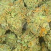 BLUE DREAM Cannabis