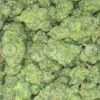 Bolo Runtz weed strain