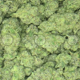 Bolo Runtz weed strain