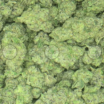 Bolo Runtz weed strain
