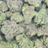 Cereal Milk Cannabis strain