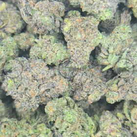 Cereal Milk Cannabis strain