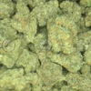 FRENCH LOTUS #16 weed strain