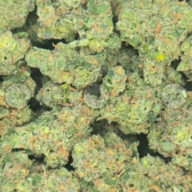 Pink Lemonade weed strain