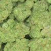 Super Boof Weed Strain