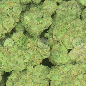 Super Boof Weed Strain