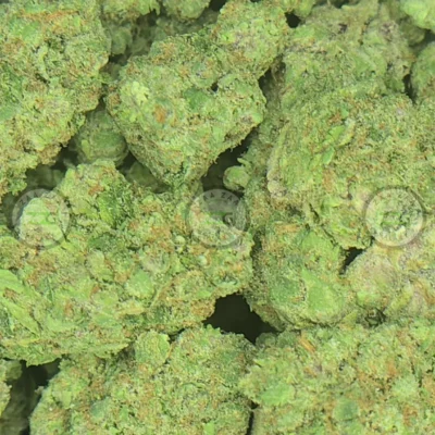 Super Boof Weed Strain