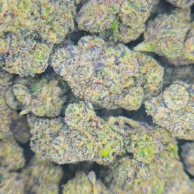 WHITE RUNTZ Cannabis