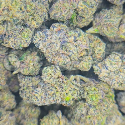 WHITE RUNTZ Cannabis