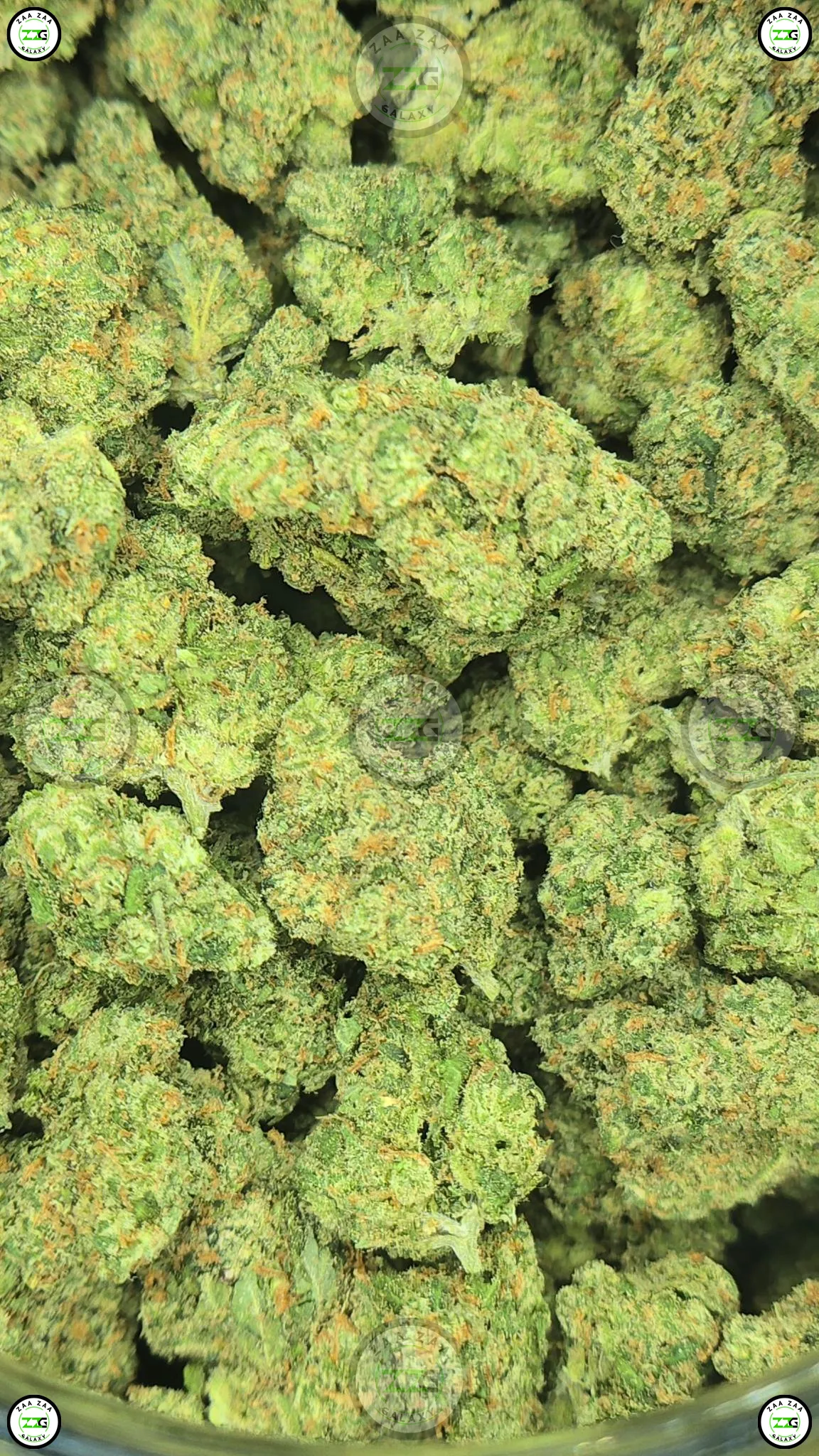 Trainwreck Cannabis
