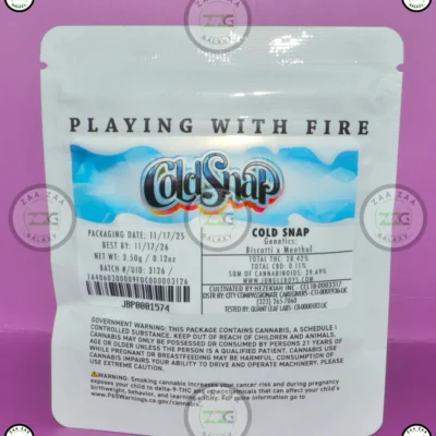 JUNGLE BOYS COLD SNAP