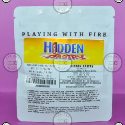 JUNGLE BOYS HIDDEN PASTRY