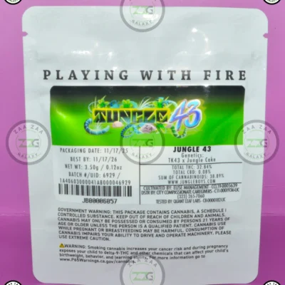 JUNGLE BOYS JUNGLE 43