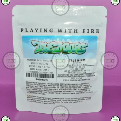 JUNGLE BOYS TRUE MINTS