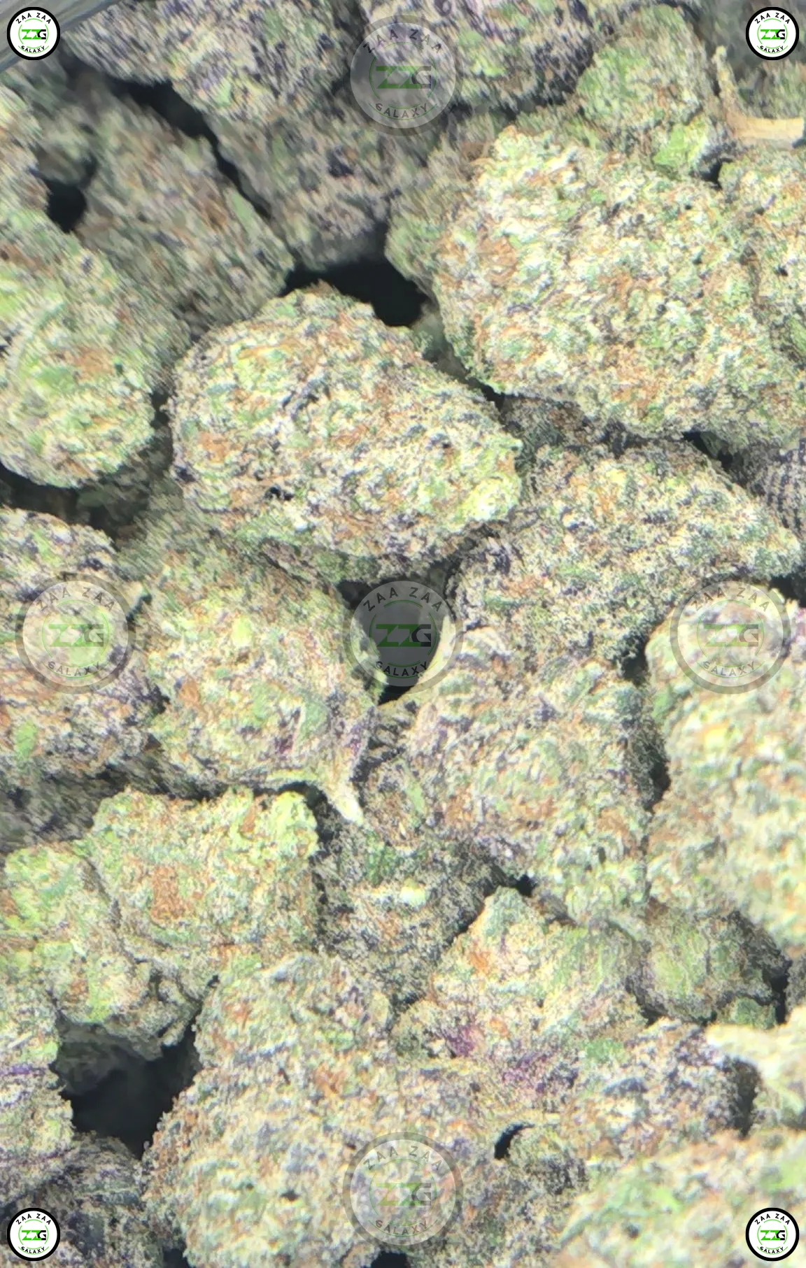 Purple Sizzurp Cannabis