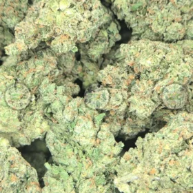 Super Lemon Haze weed