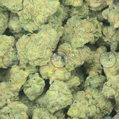 Gorilla Glue Weed Strain