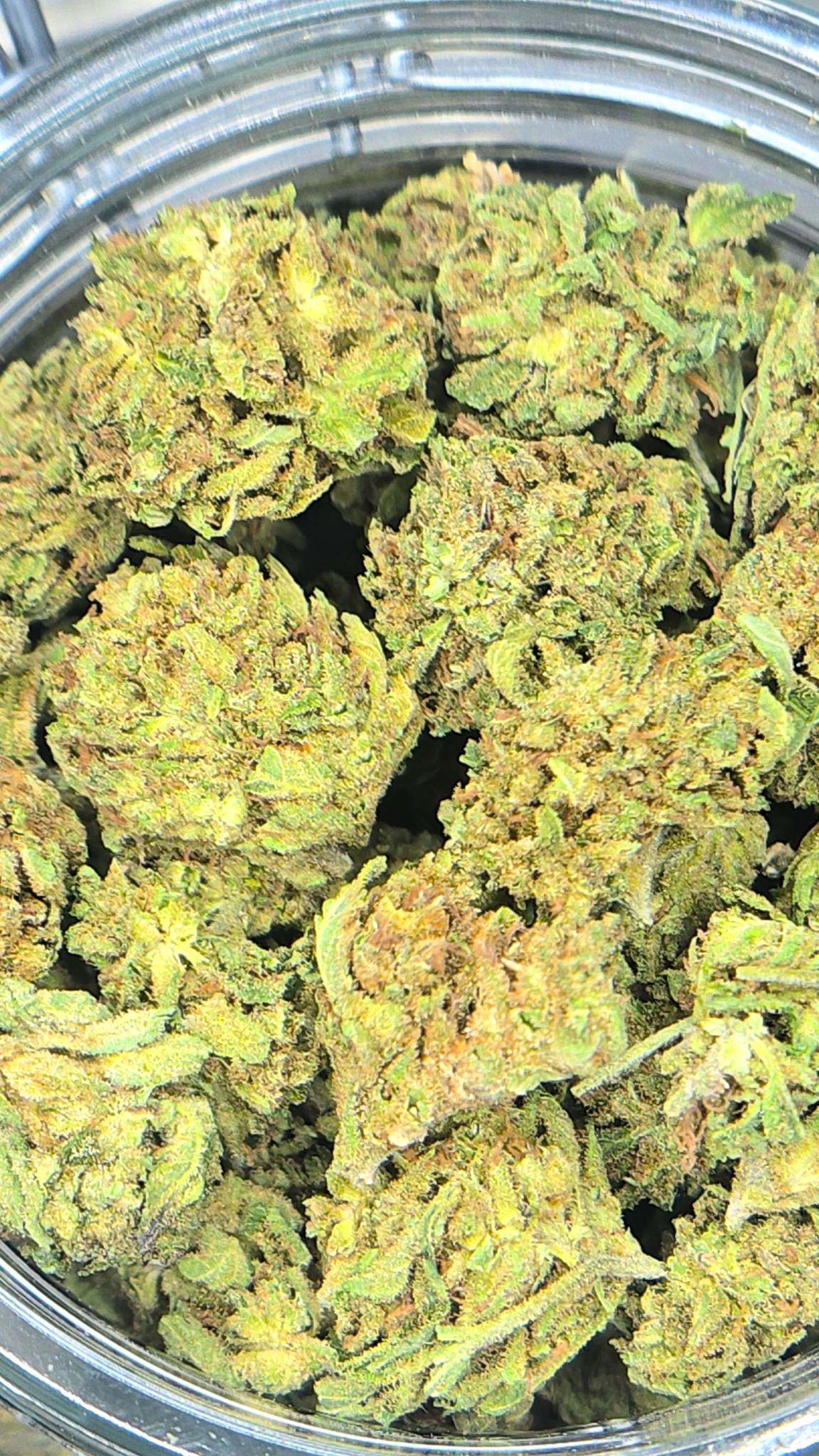 Super Lemon Haze Cannabis