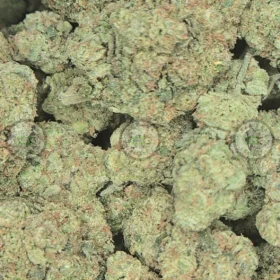 Tahoe OG Weed Strain