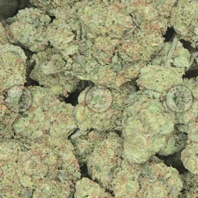 Tahoe OG Weed Strain