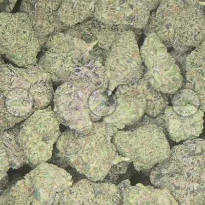 Frosted Animal Cookies Weed Strain