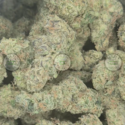 Wonka Green Weed Strain