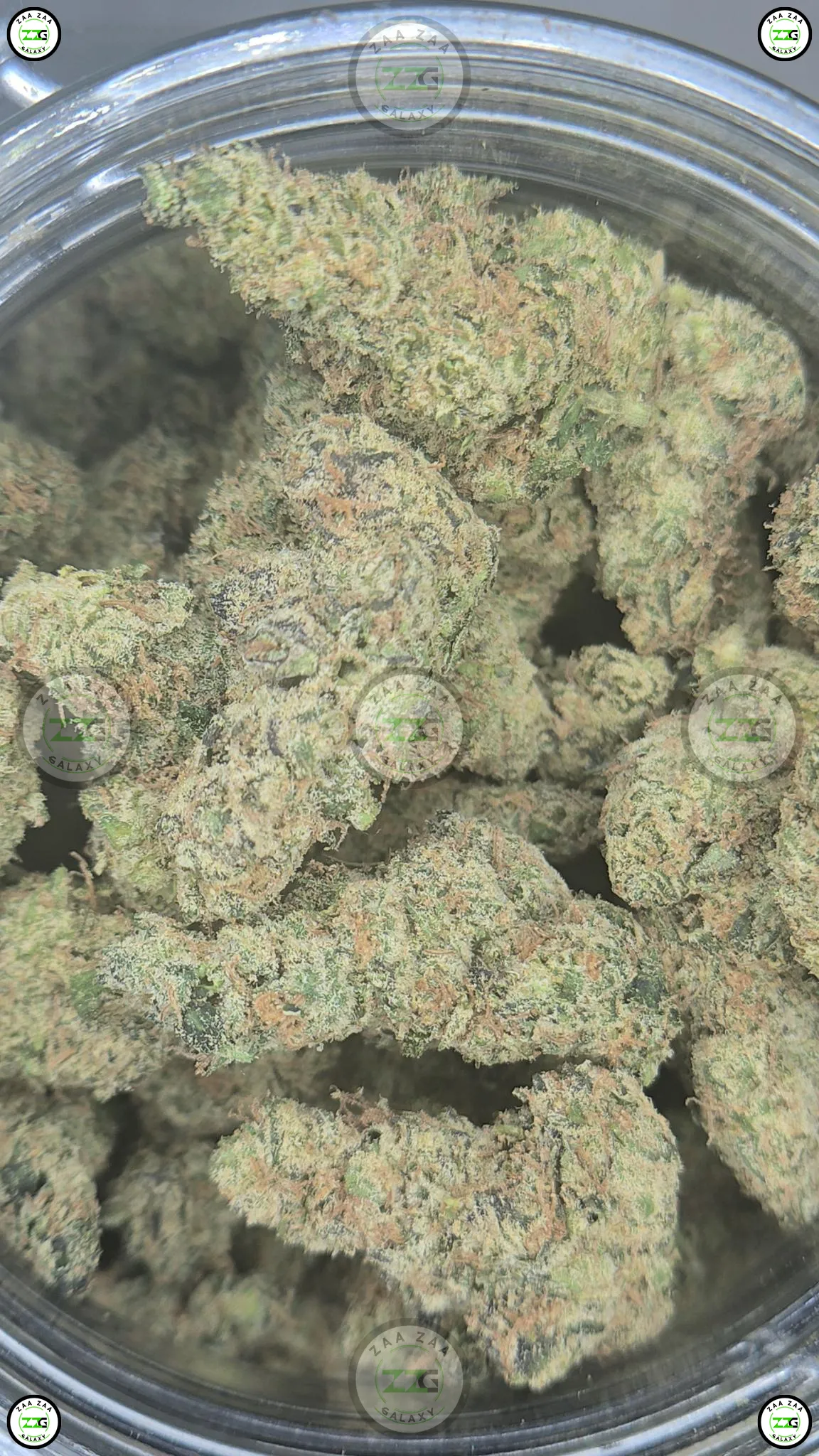 Wonka Green Weed Strain