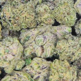 Georgia Peaches Cannabis