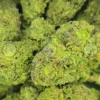 Joker Candy weed strain