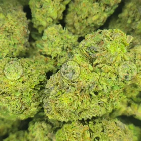 Joker Candy weed strain