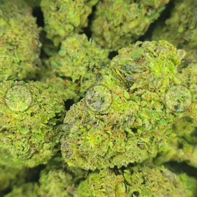 Joker Candy weed strain