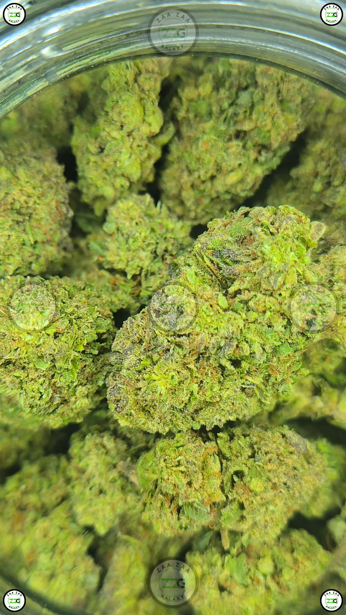 Joker Candy weed strain