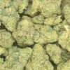 Orange Zkittlez Cannabis
