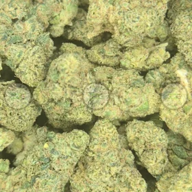 Orange Zkittlez Cannabis