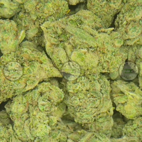 Super Gorilla Glue Weed Strain