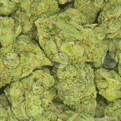 Super Gorilla Glue Weed Strain