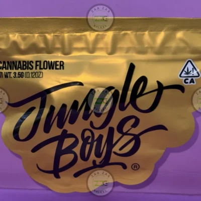 JUNGLE BOYS 20TH ANNIVERSARY