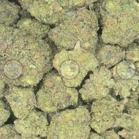OAKLAND LCG Cannabis