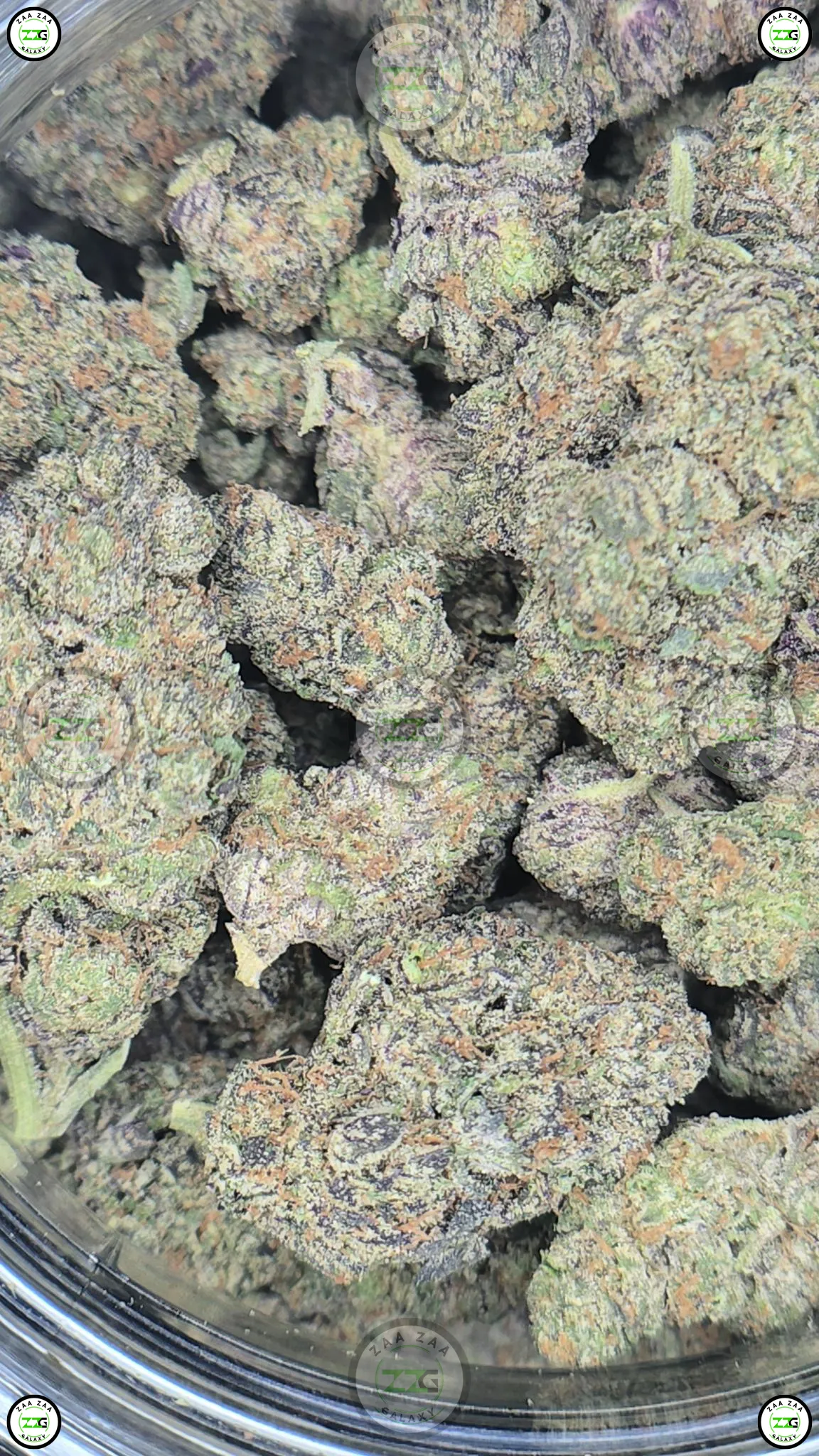 Ice Cream Float weed Strain