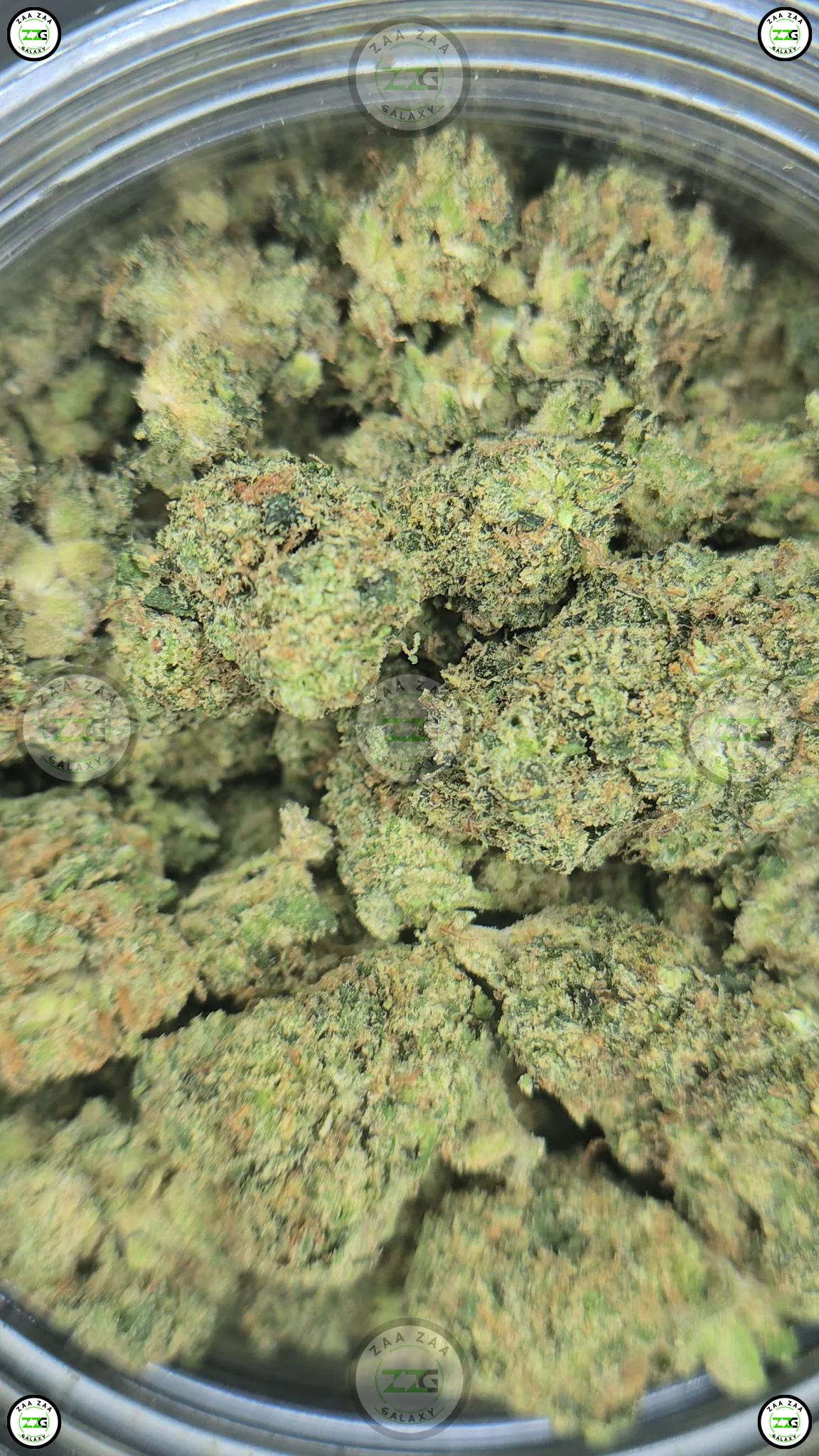 LEMON POPPERS weed Strain