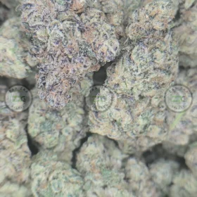Michelin weed strain