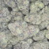New Jack Gumbo weed