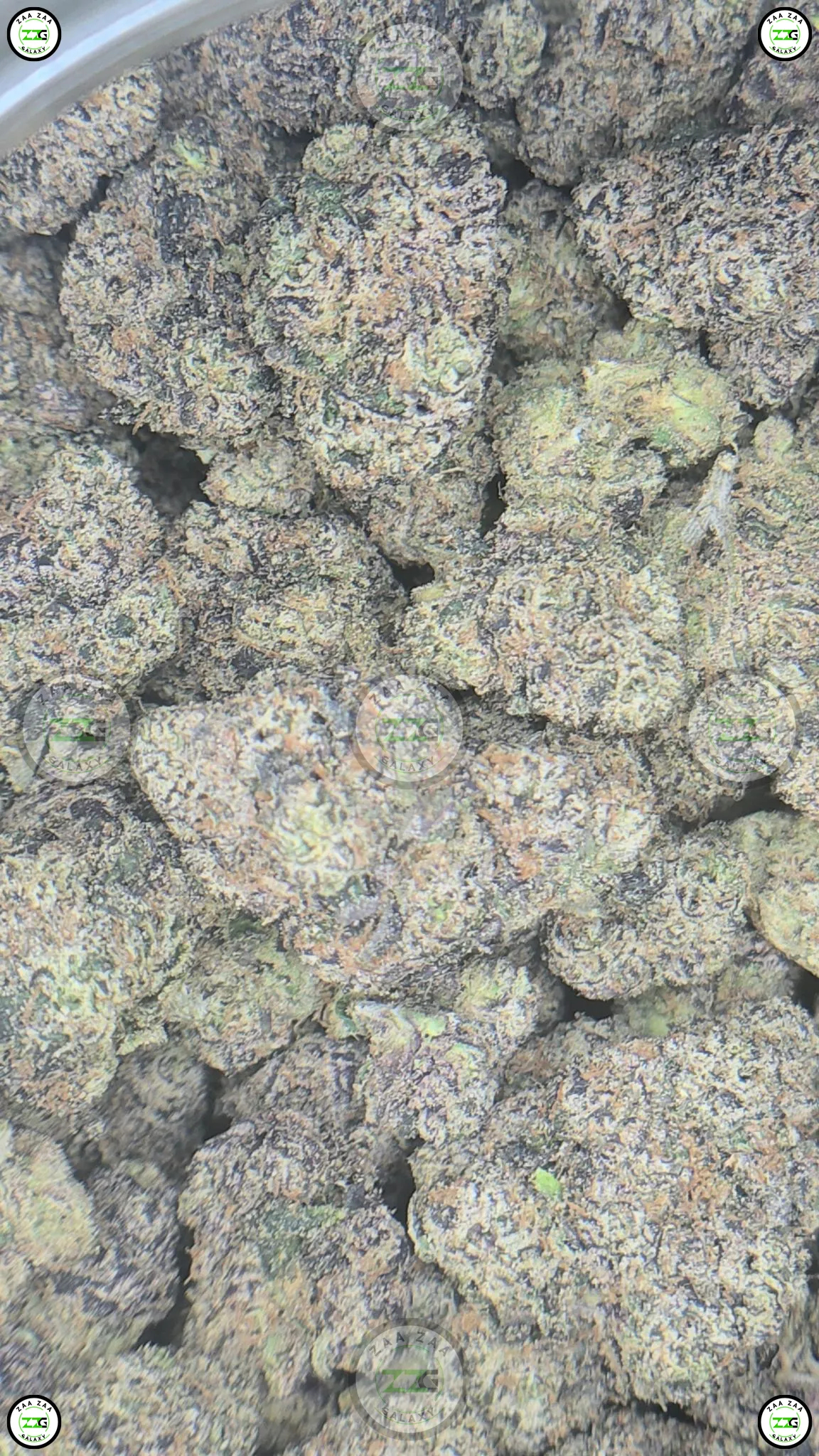 New Jack Gumbo weed