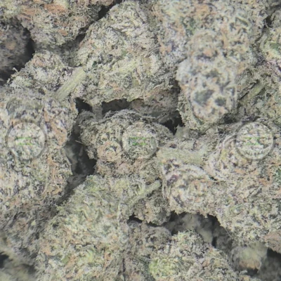 New Money Weed