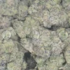 Rainbow Runtz weed