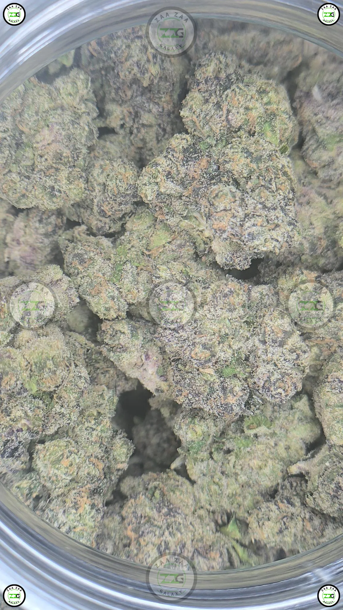 Rainbow Runtz weed