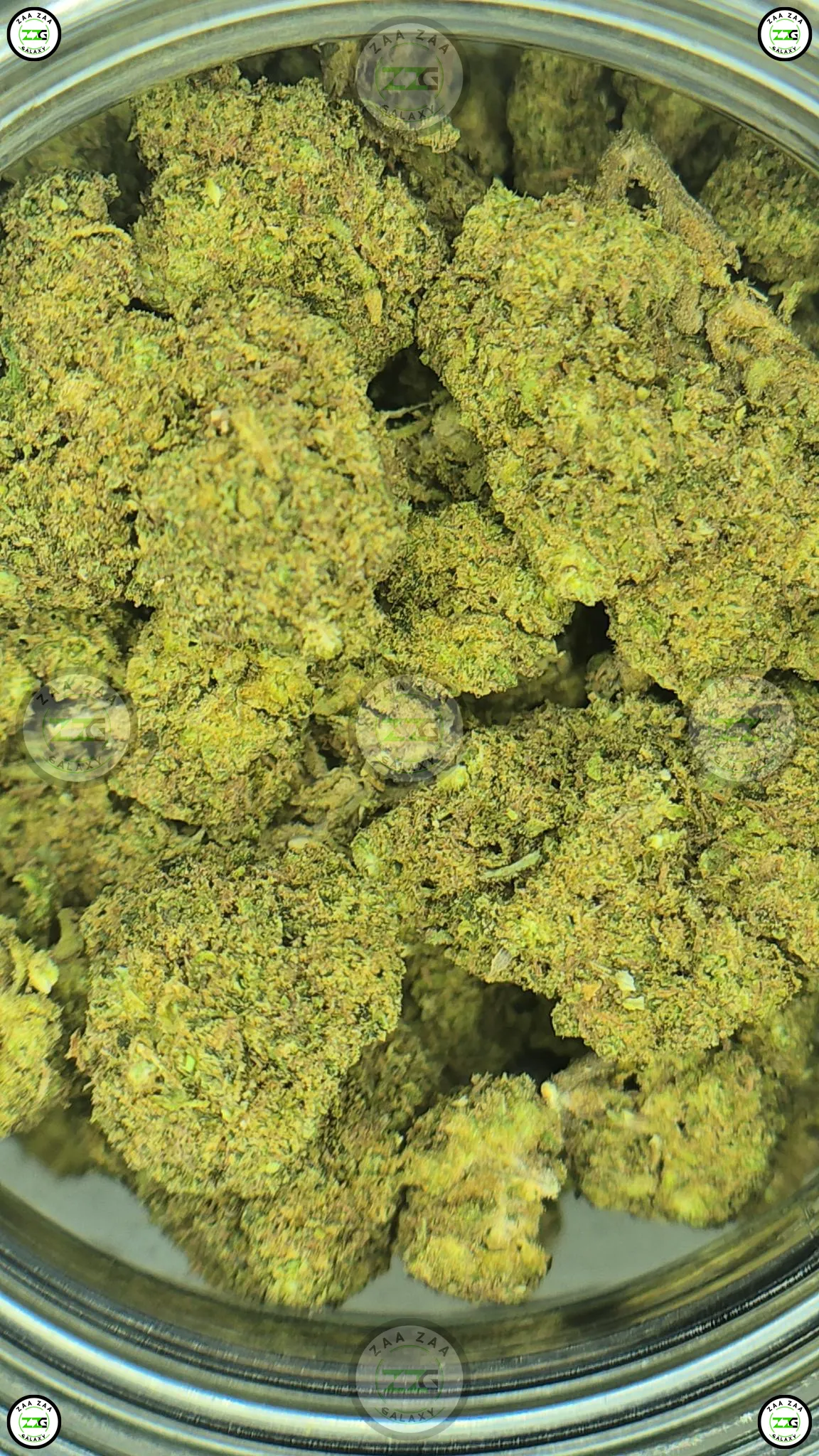 Silky Cherries Cannabis