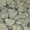 Toad Venom weed strain