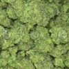 White Walker Cannabis