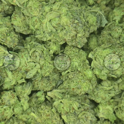 White Walker Cannabis